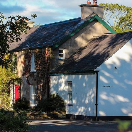 Ballylagan Organic Farm Straid  エクステリア 写真