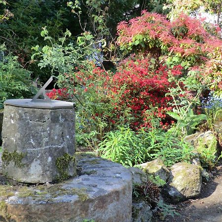Ballylagan Organic Farm Straid  エクステリア 写真