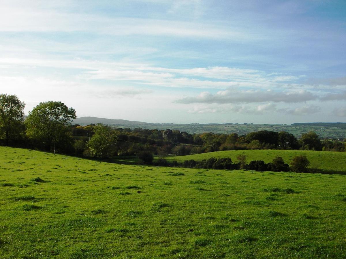 Ballylagan Organic Farm Straid  エクステリア 写真