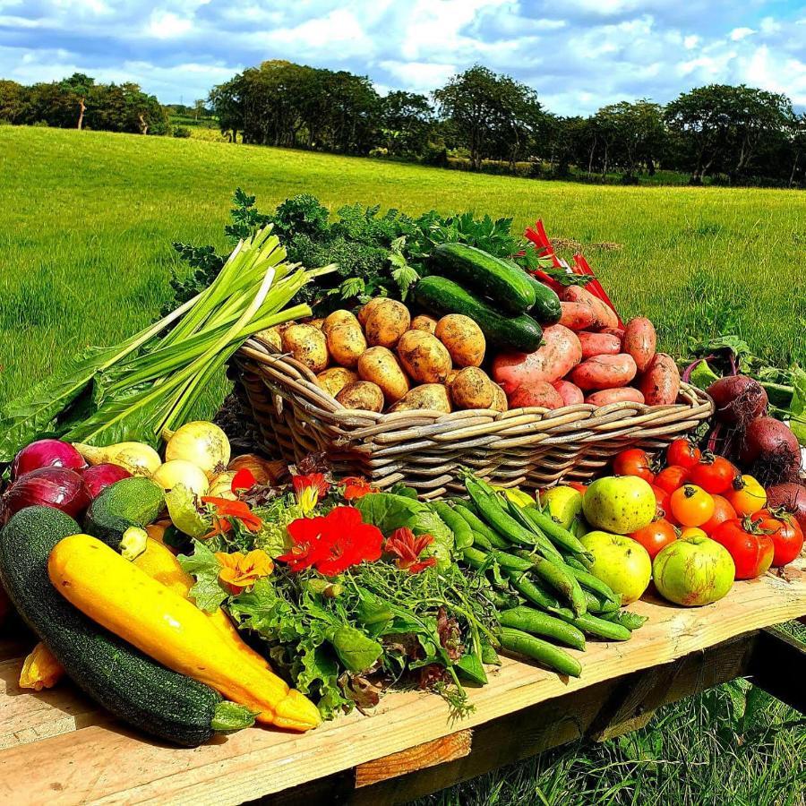 Ballylagan Organic Farm Straid  エクステリア 写真